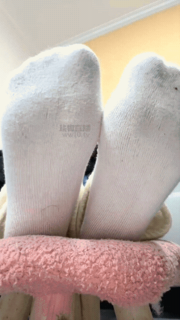 GIF_20260201_184032.gif
