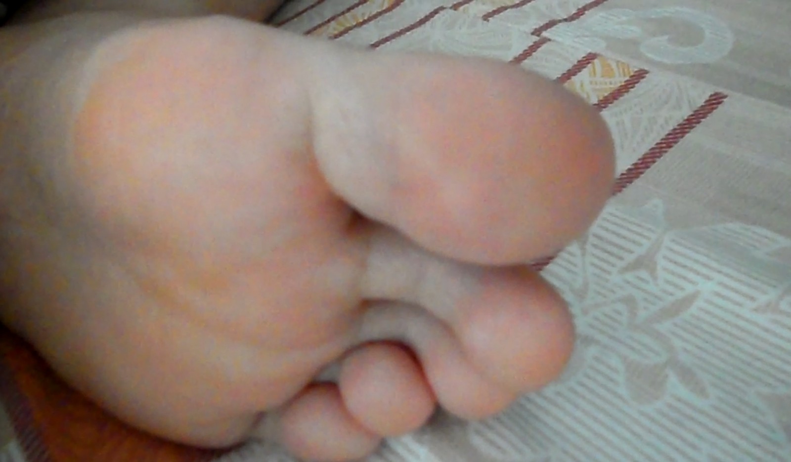 IMG_20260525_200819.jpg